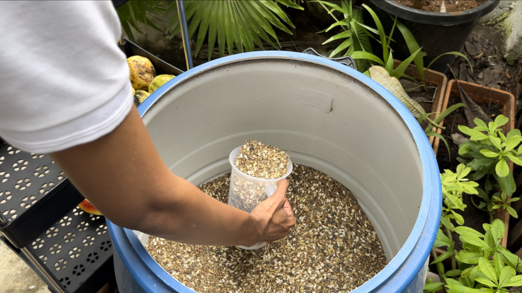 Birds Premium Quality Seed Mix